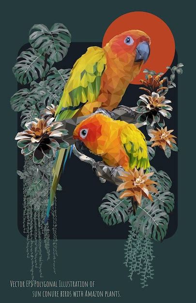 Vecteur Eps Illustration Polygonale Doiseaux De Conure De Soleil Avec