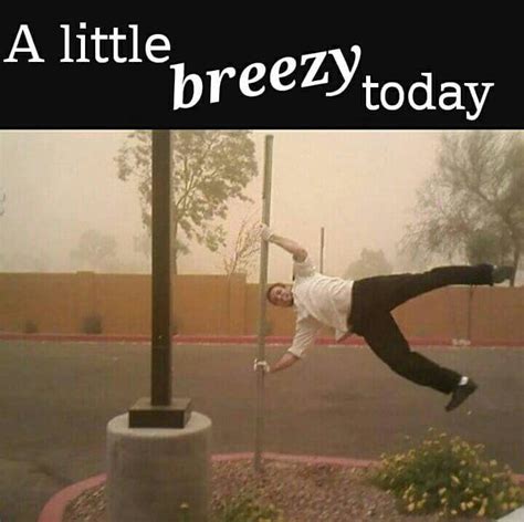 Windy Day Funny Weather Weather Memes Cold Weather Funny