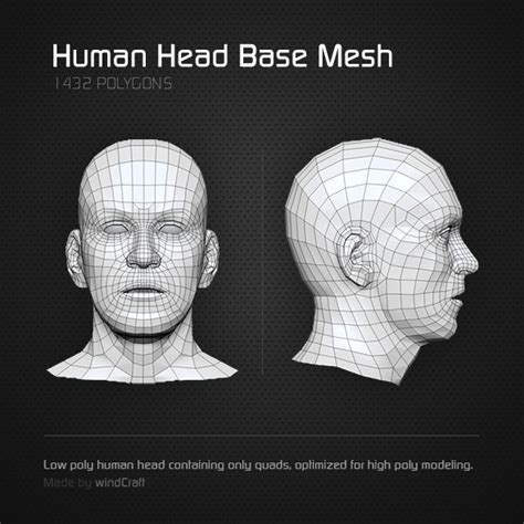 D Models Low Poly Human Head Base Mesh Docean