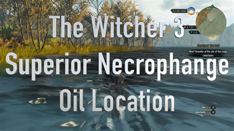 The Witcher 3 Superior Necrophage Oil Location Youtube