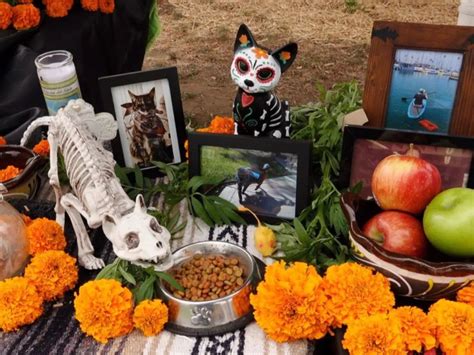 Altar De Muertos Para Mascotas Qu Es Y Cu Ndo Se Pone M Xico