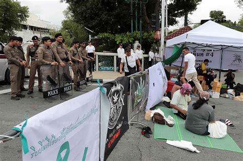 Bangkok Post - Pro-cannabis groups to rally at Government House