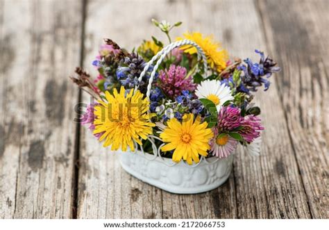 18,637 Букет Клевера Images, Stock Photos, 3D objects, & Vectors ...