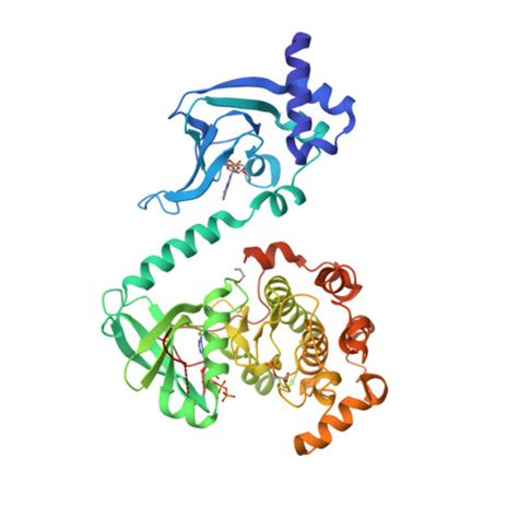 Rcsb Pdb T T Crystal Structure Of Cgmp Dependent Protein Kinase