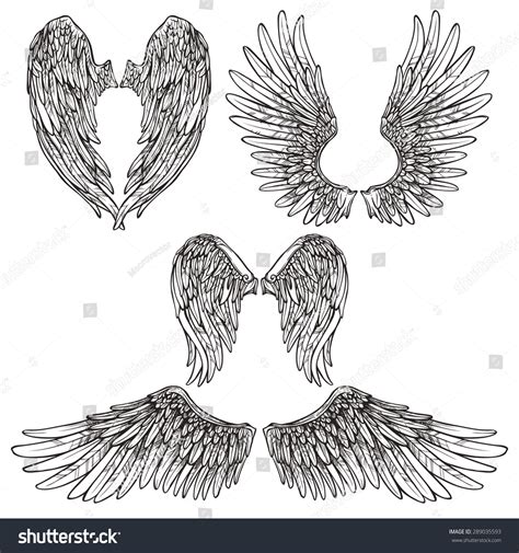 Angel Bird Wings Abstract Sketch Set Stock Vector (Royalty Free ...