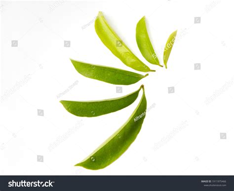 Soursop Power Tea Royalty-Free Images, Stock Photos & Pictures ...