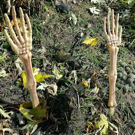 Halloween Skeleton Stakes Decorations Creepy Hands Arms With Lawn Stakes Realistic