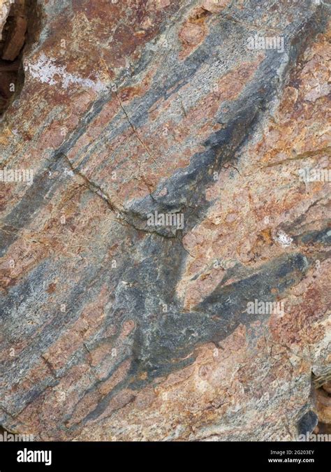 Fold in Metamorphic Pelite Rock. Orange and Green Geology Natural ...