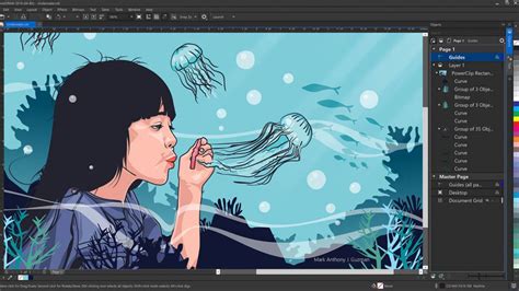 Top 8 Graphic Design Software For Beginners Animizer Blog