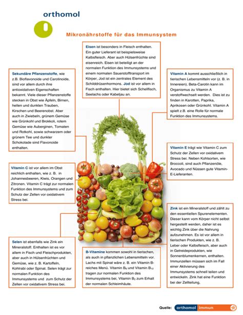 Mikronährstoffe für das Immunsystem