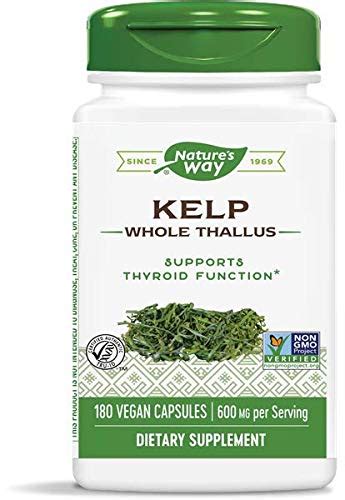 Top 10 Best Kelp Supplements Our Top Picks in 2022 - Digital Best Review