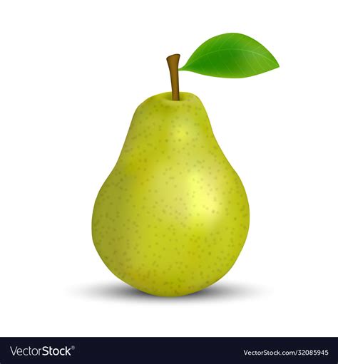 Realistic Green Pear Isolated Template For Your Vector Image