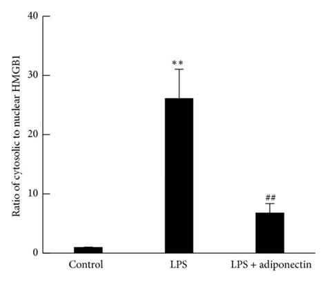 Effect Of Recombinant Adiponectin On LPS Induced HMGB1 Release And