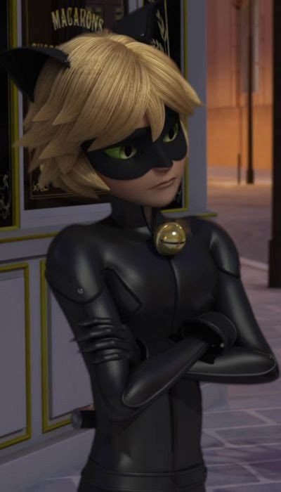 Chat Noir Us Very Hot Miraculous Amino