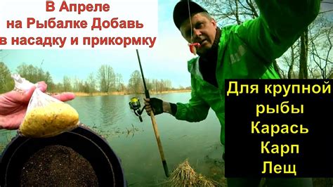 Манит рыбу в Апреле всегда 100% Можно в насадку для рыбалки и в ...