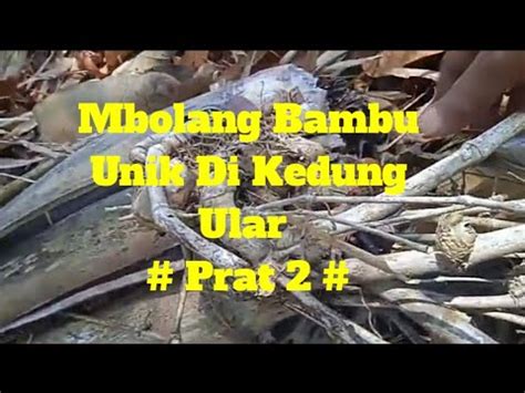 Mbolang Bambu Unik Di Kedung Ular Prat 2 YouTube