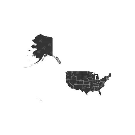 USA Map Vector & States | P&P group