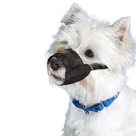 dog muzzle small premier pet