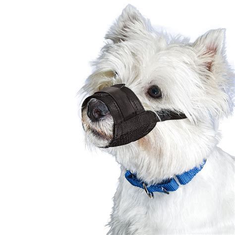 Premier Pet Muzzles Small Breed Black Dog - Walmart.com