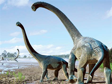 Scientists unearth new species of titanosaur that roamed Australia 95 million years ago ...