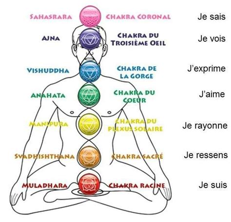 Guide Complet Du Chakra Racine