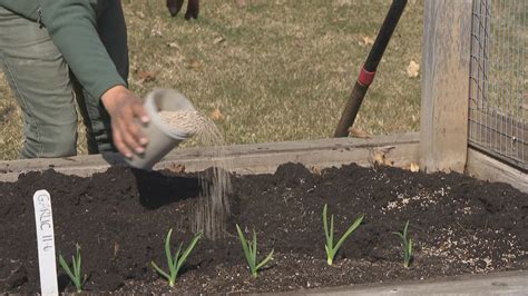 Spring Planting Starts with Soil Preparation | Chicago News | WTTW