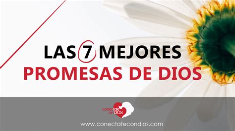 Las 7 Mejores Promesas de Dios Conéctate Con Dios