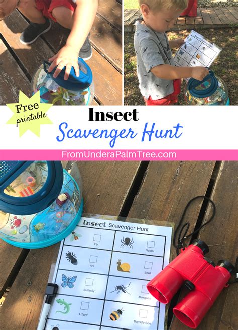 Insect Scavenger Hunt Printable