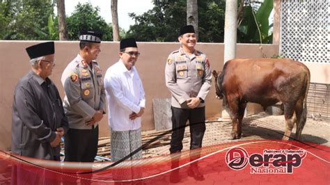 Polresta Banyumas Serahkan Sapi Dan Kambing Kurban Idul Adha 1445 H Ke