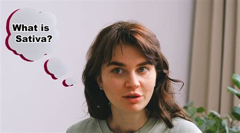 What is Sativa? Understanding Its Uses, Strains, and Benefits ...