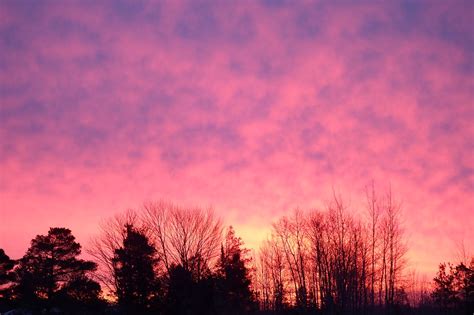 Just North Of Wiarton And South Of The Checkerboard Pink Sky In The