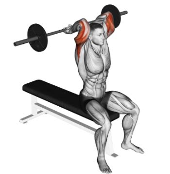 Overhead Barbell Tricep Extension (The "French Press") | Member Login ...