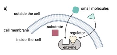 Small Molecule Drugs 101 - KIF1A