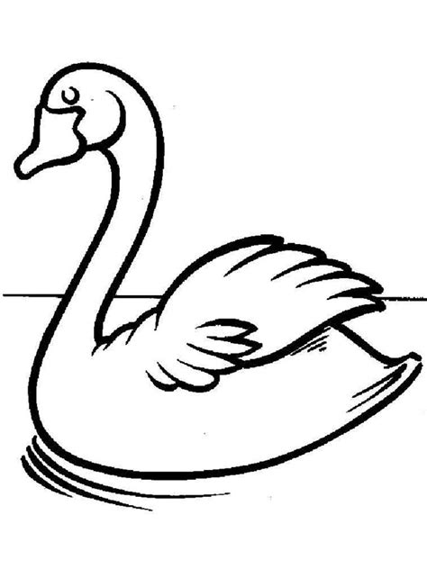 Contorno De Cisne Para Colorir Imprimir E Desenhar Colorir Me The