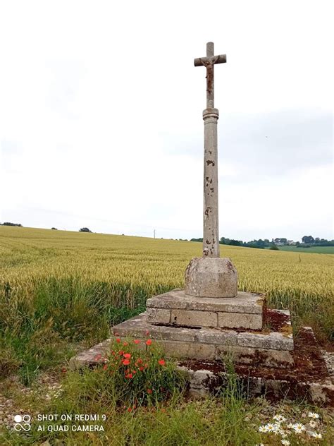 Grain de blé tombé en terre Site de paroissesainteanne