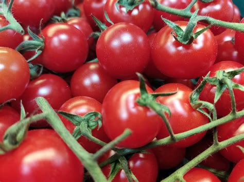 Premium Photo Lots Of Red Tomatoes With Green Leaves And Twigs