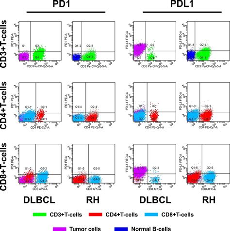 Frontiers Flow Cytometry Assessed Pd Pdl Status In Tumor