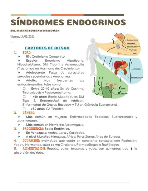 SOLUTION Sa Ndromes Endocrinos Studypool