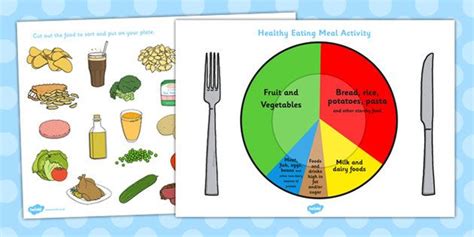 Healthy Eating Divided Plate Sorting Activity Healthy Eating Sorting