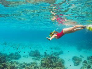 Oahu Snorkeling Tour | Oahu Private Tours