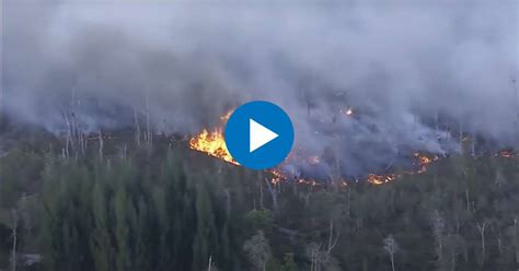 Incendio Forestal Da A Miles De Acres En Los Everglades De Florida