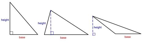 What Is The Height Of A Triangle