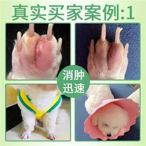 狗狗趾间炎猫咪脚趾炎专用宠物指间药膏爪子甲沟指沟指尖发炎外用 虎窝淘