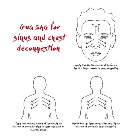 What Is Gua Sha Therapy A Simple Guide Dantian Health