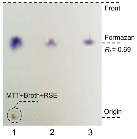 An Improved Purification Method For Removing Colour Interference From 3 4 5 Dimethylthiazol 2