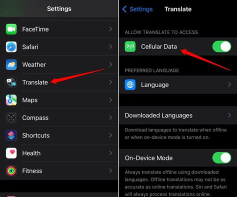 IOS 17 Fix Translate App Not Working On IPhone