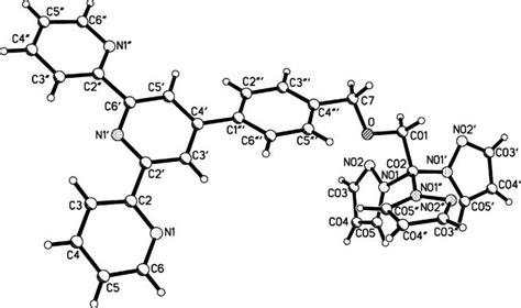 Molecular structure of the pzt ligand. | Download Scientific Diagram 