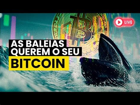 Bitcoin Baleias De Boca Aberta Bate Papo Youtube