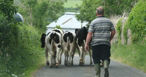 Insight Wellbeing Putting Farmers Mental Health In The Spotlight