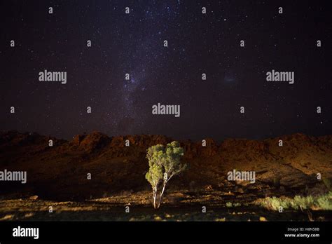 Starry Sky Over Mountains And Single Tree Stock Photo Alamy